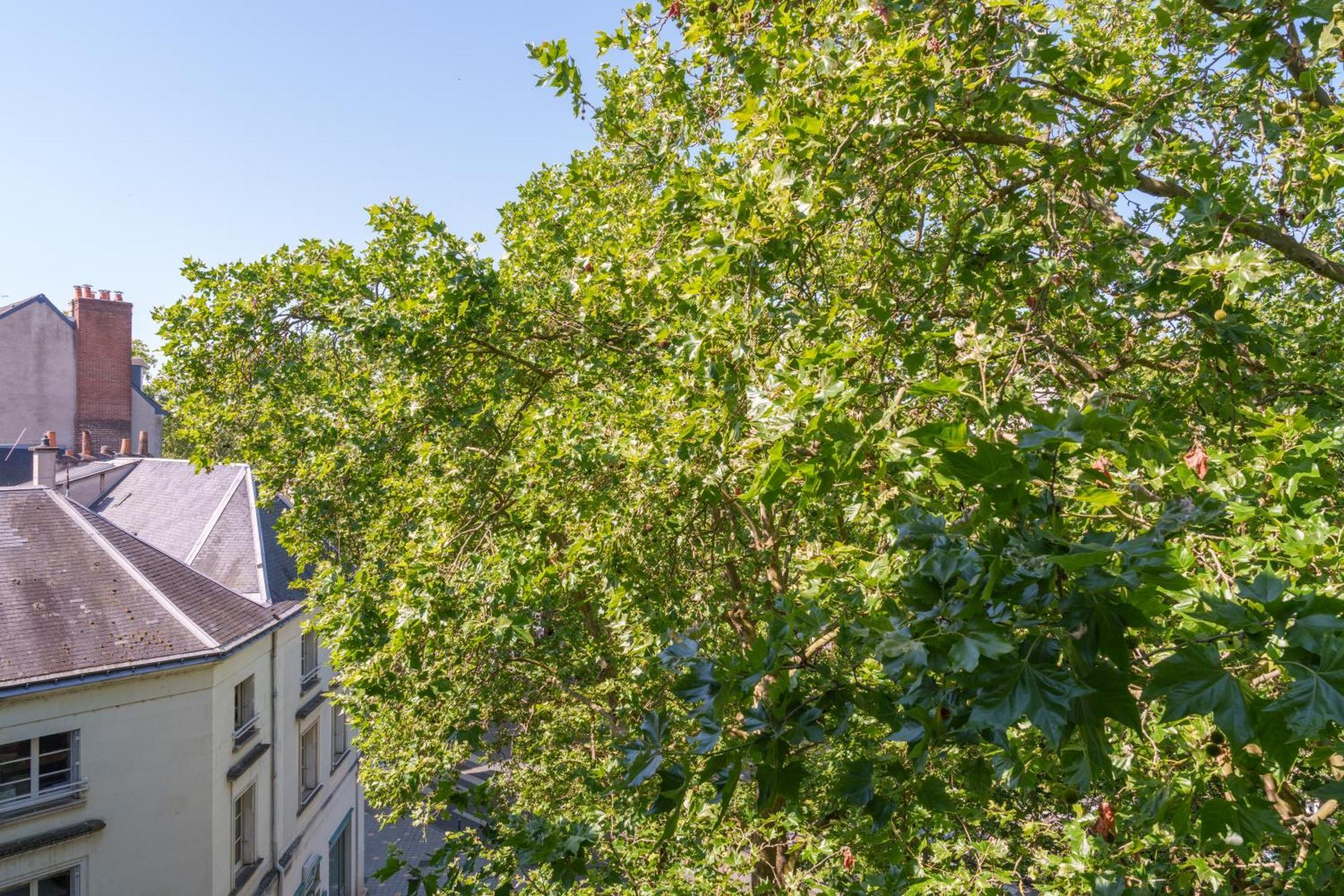 Appartement Tours Centre Avec Parking 4 P Exterior foto